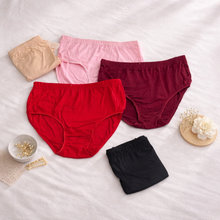 Load image into Gallery viewer, Pack of 5 Basic Underwear
