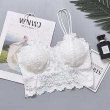Load image into Gallery viewer, Double Stripped Elegant Padded Bra
