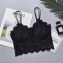 Load image into Gallery viewer, Double Stripped Elegant Padded Bra
