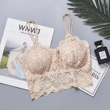 Load image into Gallery viewer, Double Stripped Elegant Padded Bra
