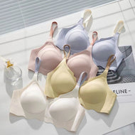 Elastane Silicon Type Daily Wear Single Padded Bra With Removeable Pads