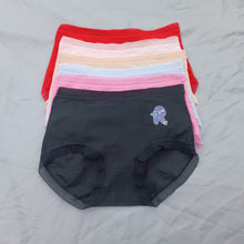 Load image into Gallery viewer, Soft Net Underwear
