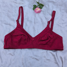 Load image into Gallery viewer, Flower Embroidered Soft Summer Daily Wear Bra
