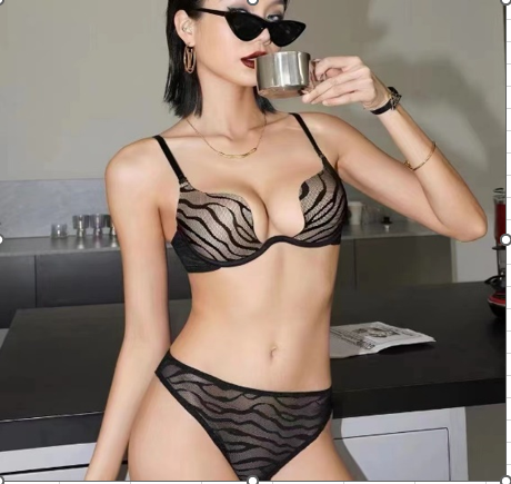Plunge Style  Medium Padded Elegant Bra Set