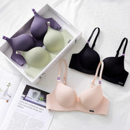 Seamless Medium Padded Daily Wear  Bra