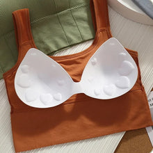 Load image into Gallery viewer, Broad Straps Anti Sweat /Gym Wear Bra
